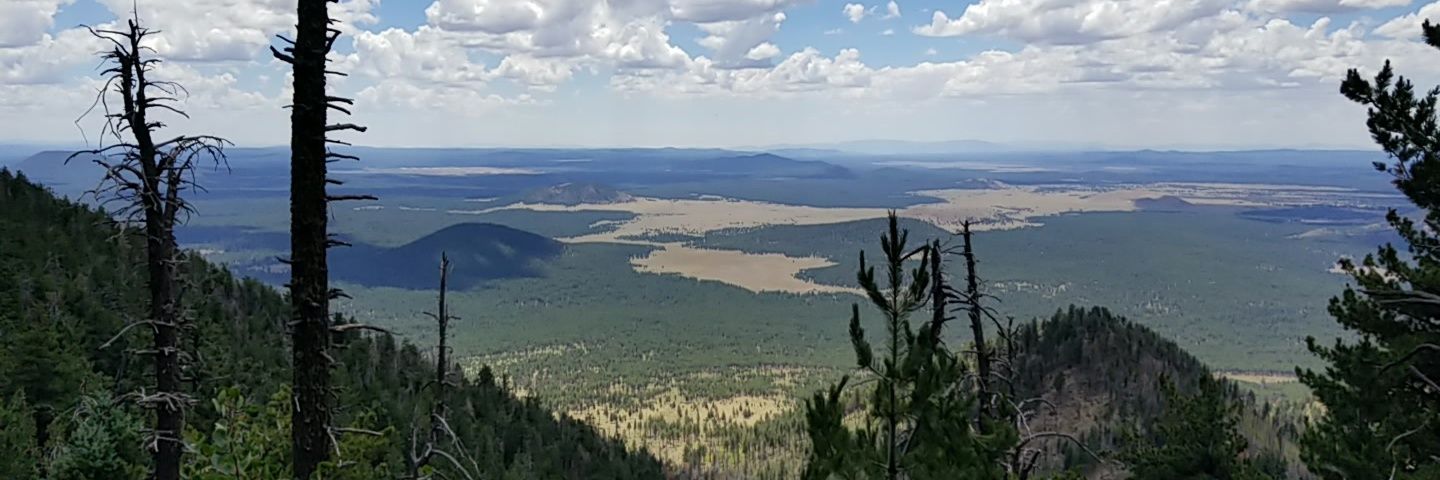 Michelle Kulinec banner