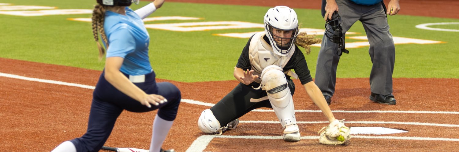 Whitney Flanigan banner