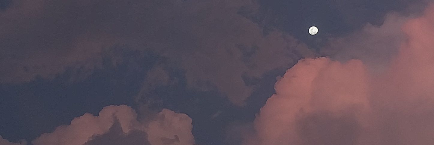 dwiditagusti's profile banner image