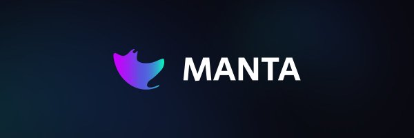 MantaDAO Profile Banner