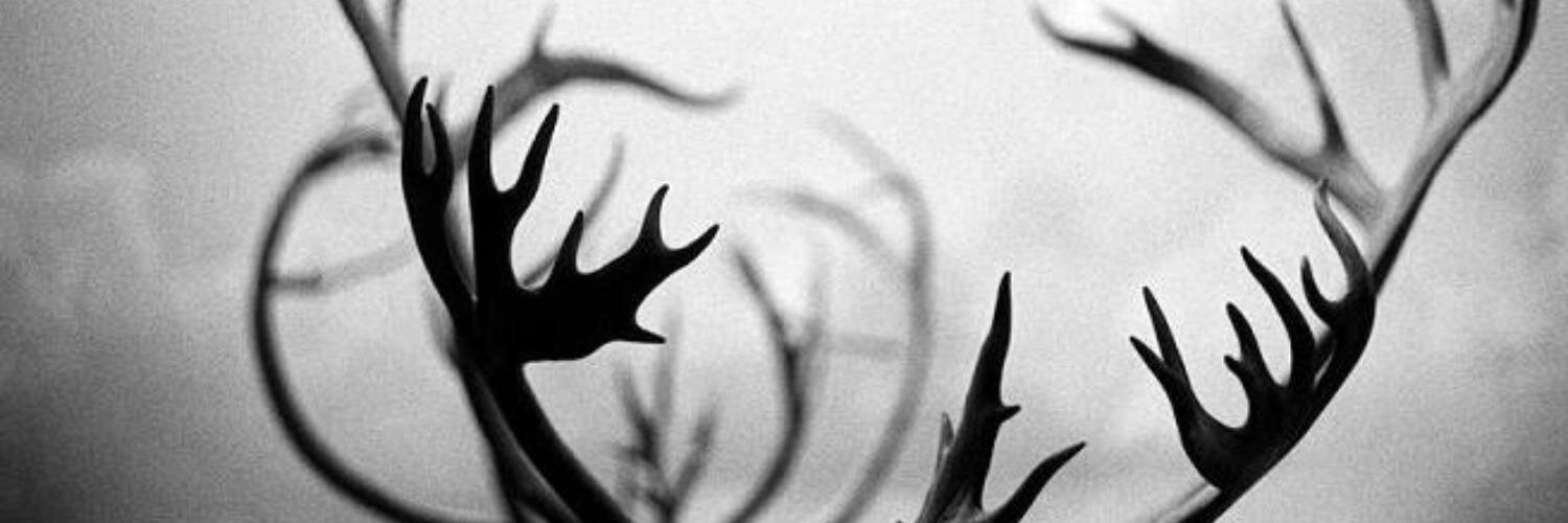mutiny_own's profile banner image