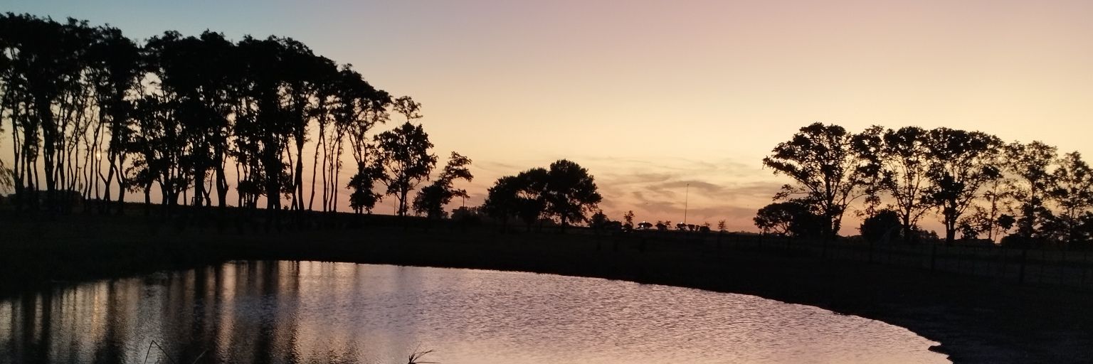 Elipiscis8's profile banner image