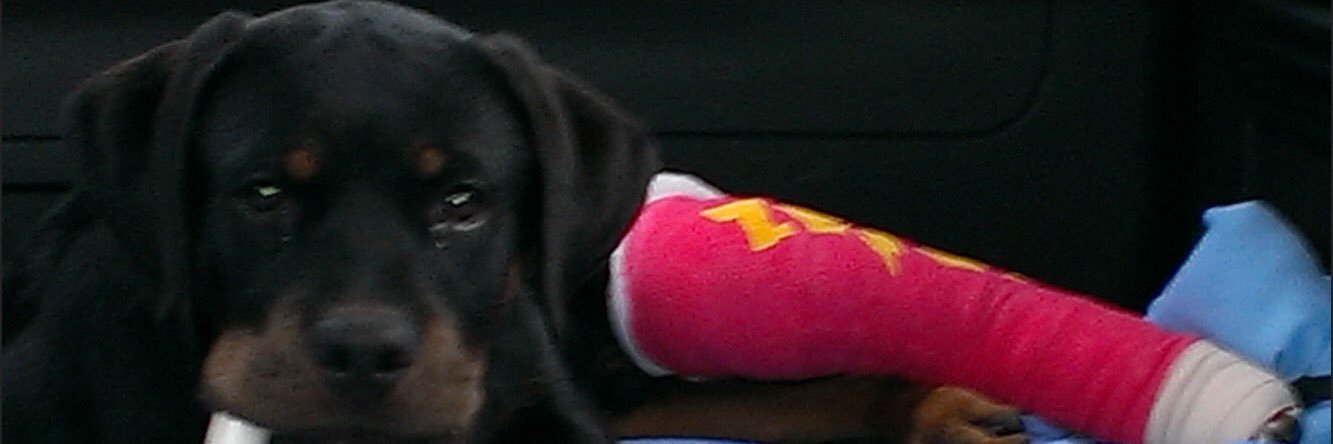S_Farney's profile banner image