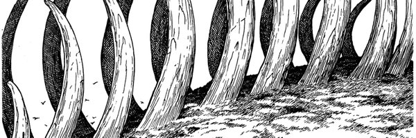 toonar0ll Profile Banner