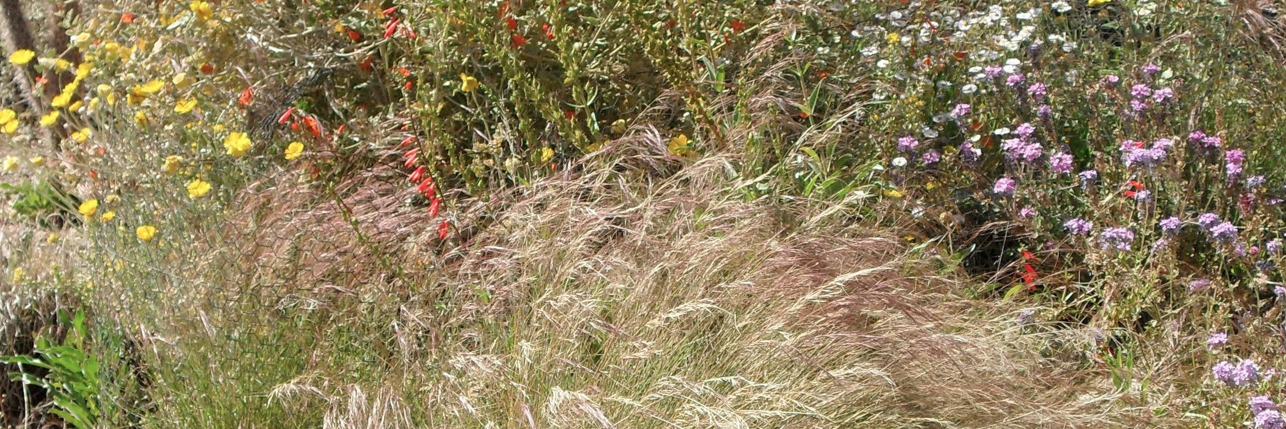MargieMotzel's profile banner image