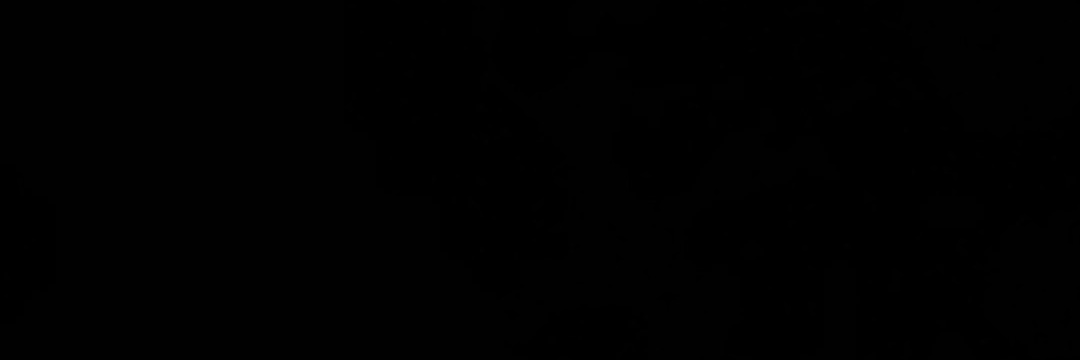 Nobody banner