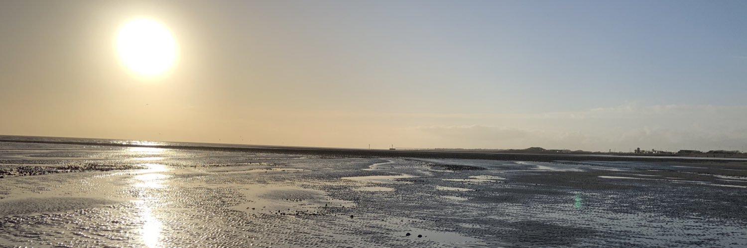 Richard Freeman banner