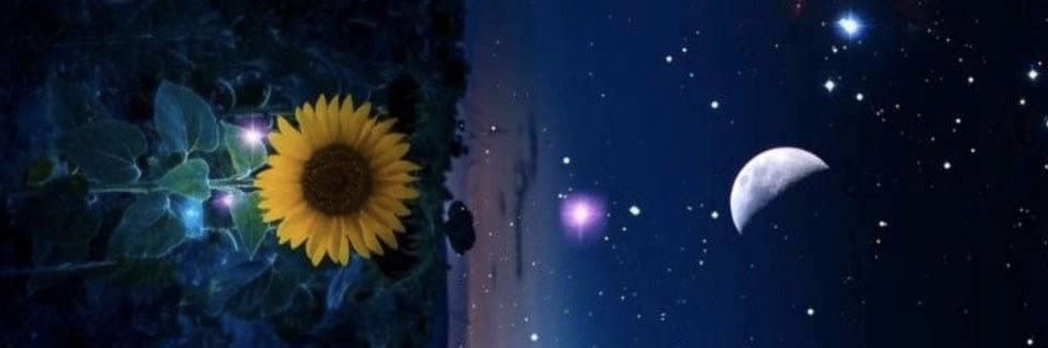 ittybittySLIMMY's profile banner image