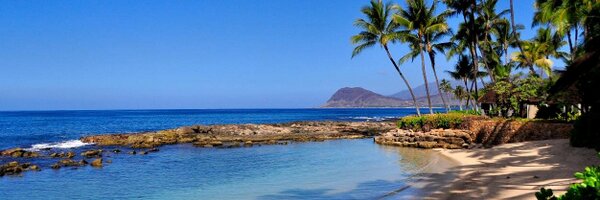 leannech Profile Banner