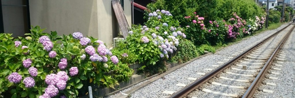 まゆ banner