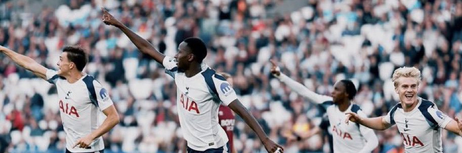 thfc dunny🇮🇪 banner