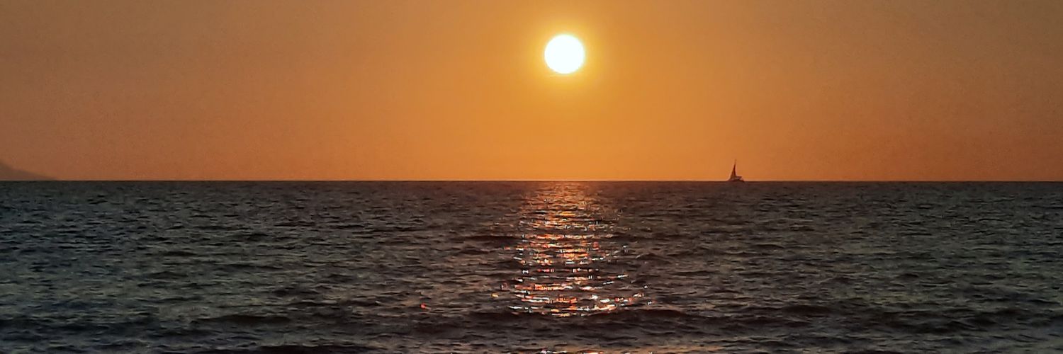 Opinóloga 😉 banner