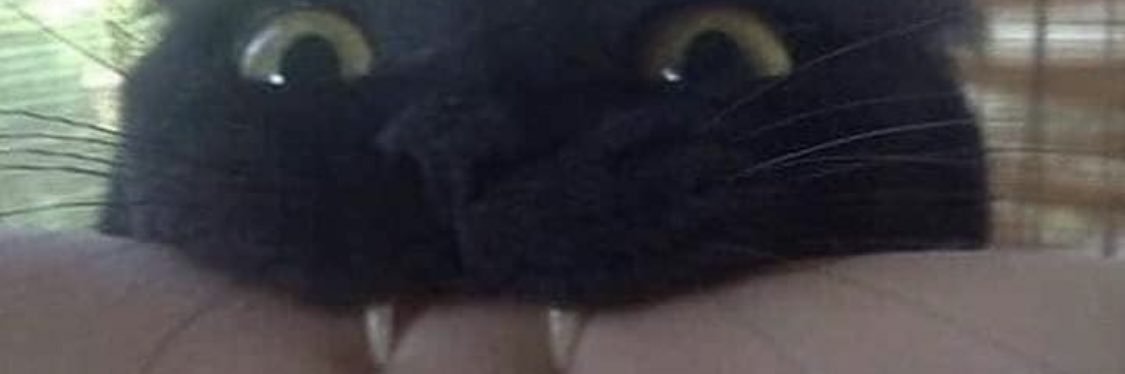 _FuchsShow_'s profile banner image