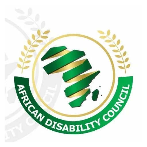African Disability Council banner
