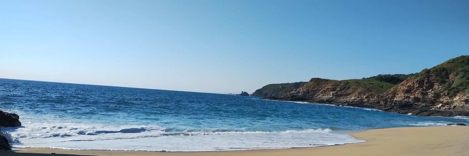 Alma Esquivel banner