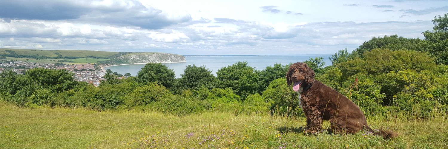 Lisa Stockley banner