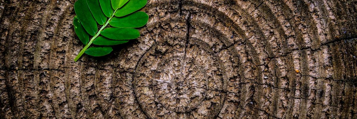 ahecmexico's profile banner image