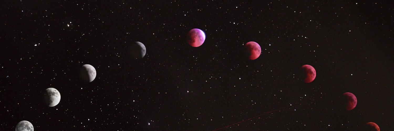 izzafrog's profile banner image