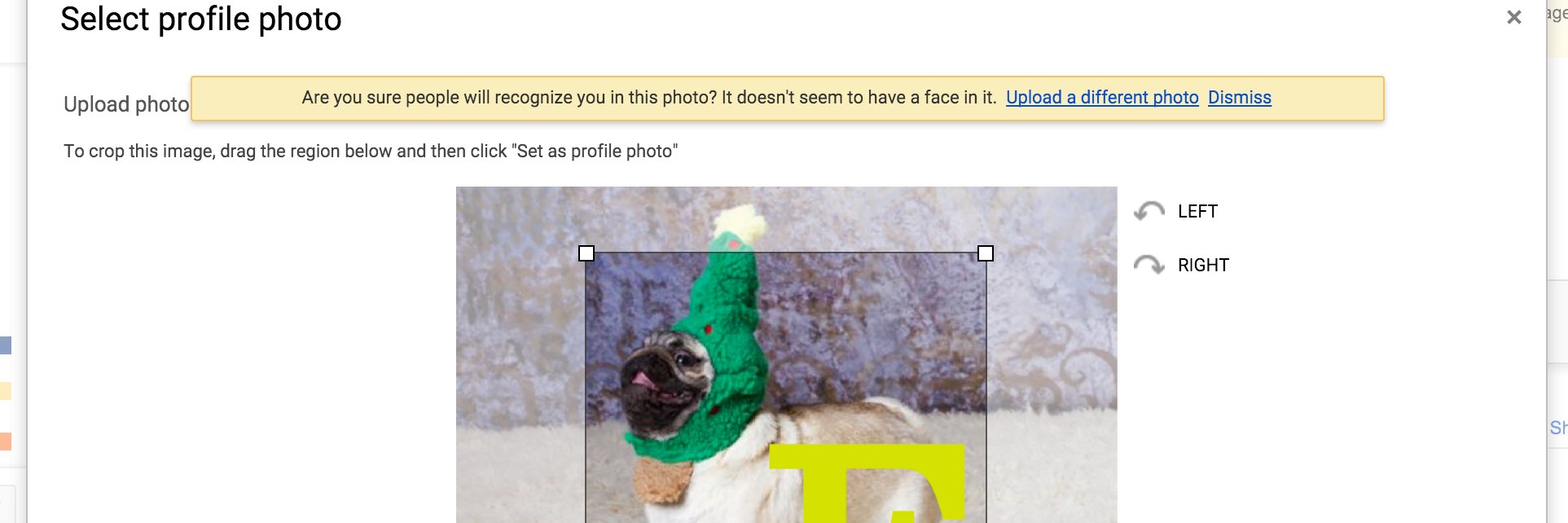 Olivia Glennon banner