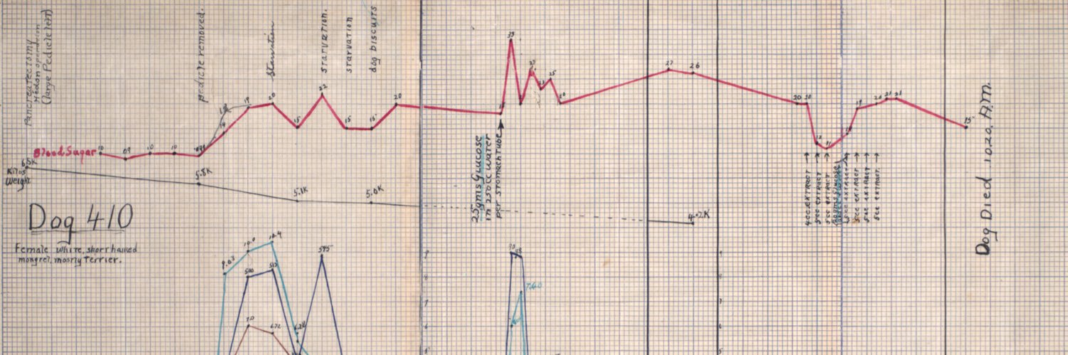 Dr. Cynthia D'Angelo banner