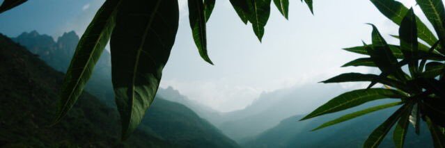LouWeasley_'s profile banner image