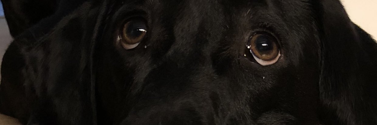 DannyBoy_1973's profile banner image