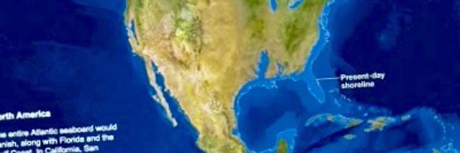 World Stewards banner