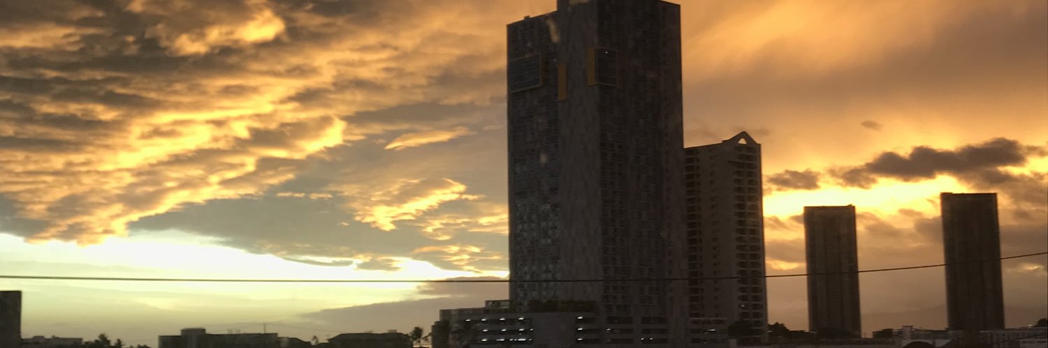 Lori Andersen, Ph.D. banner