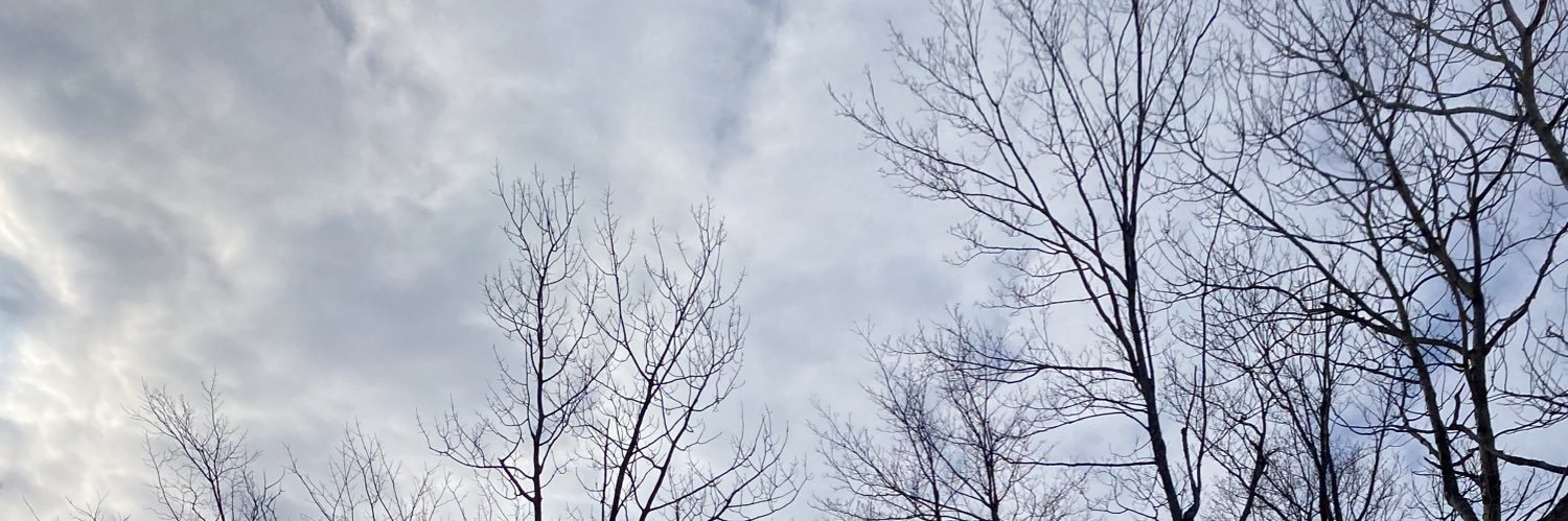 michaelcoook's profile banner image
