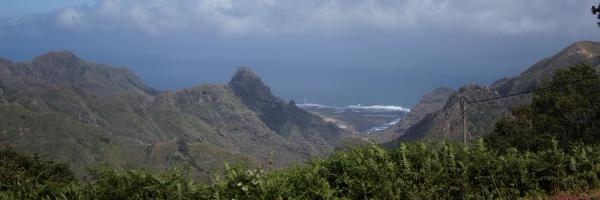 Cypressious Profile Banner