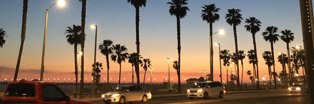 julia_ingalls's profile banner image