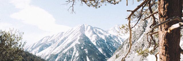kcbittner's profile banner image