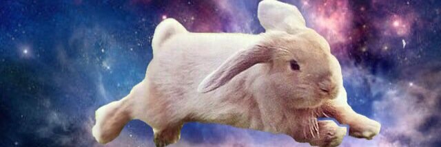 Blairzy's profile banner image