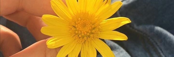 anisaa_zee's profile banner image