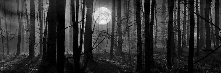 Sam banner