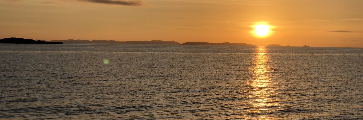 Mieepo's profile banner image