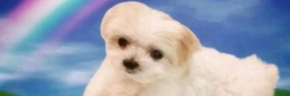 M3ZZLY's banner