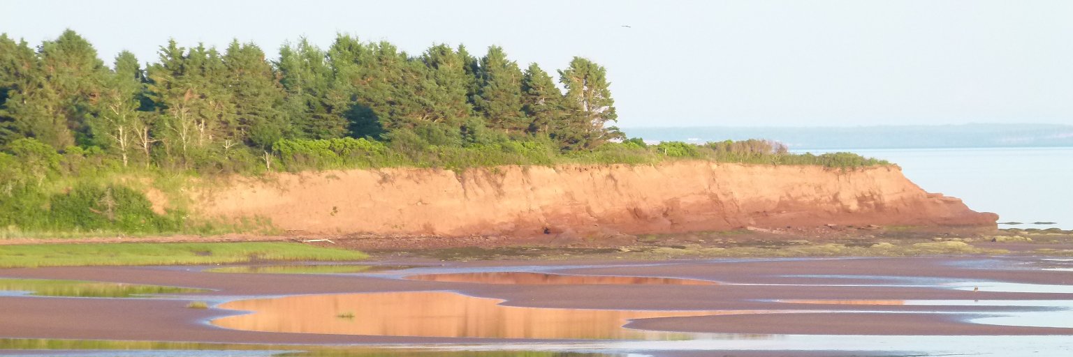 tracecomeau's profile banner image