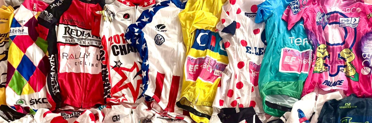 Krista Doebel-Hickok banner