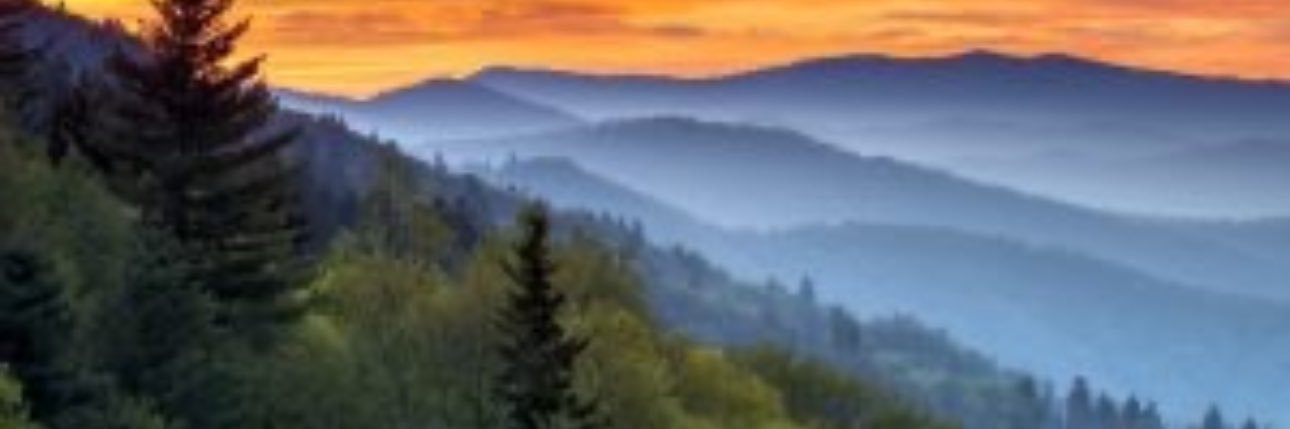 JrRussell1998's profile banner image
