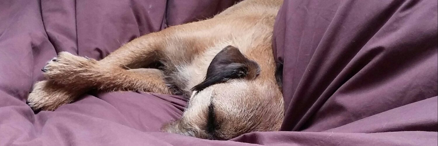 geekscruff's profile banner image