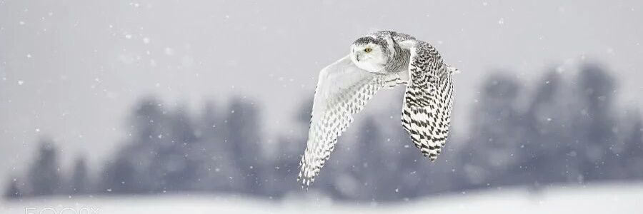Omar78VR's profile banner image