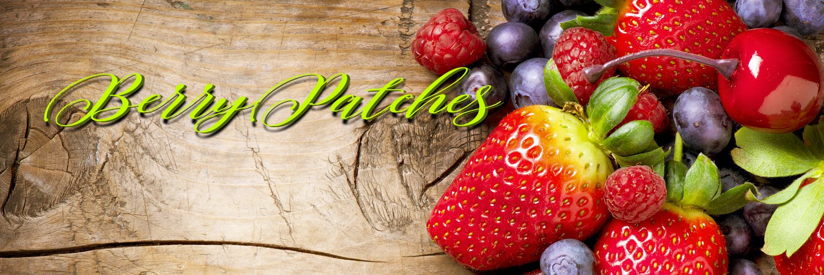 BerryPatches's profile banner image