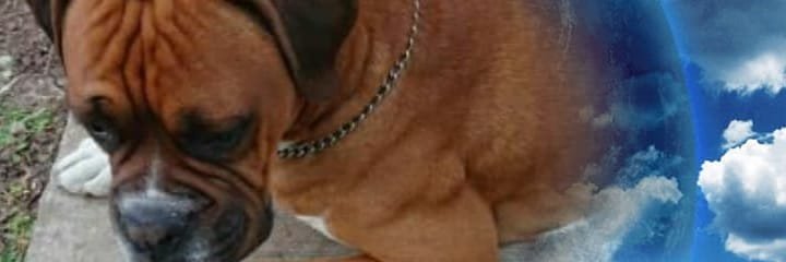 killers84's profile banner image