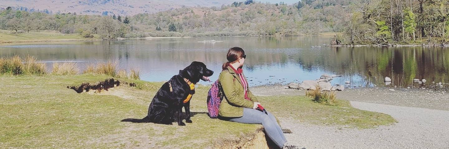 Sophie_Pinfield's profile banner image