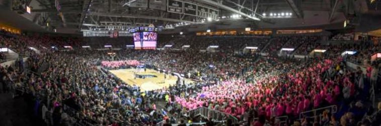 Andrew Crenca banner