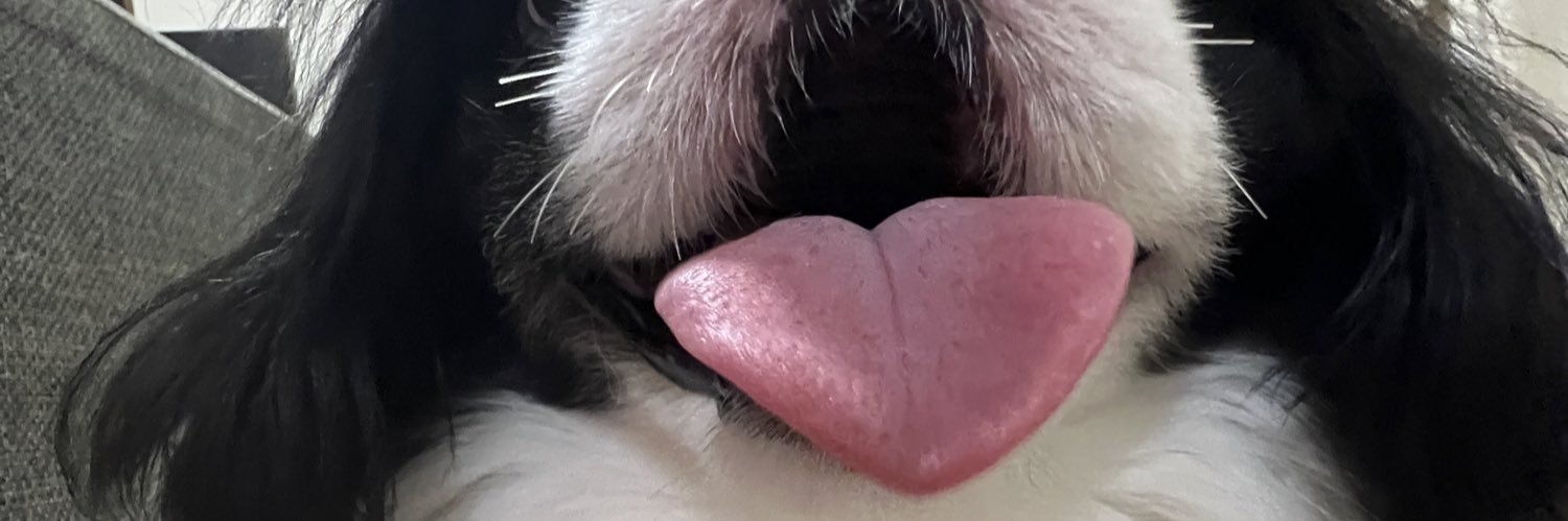 putanchuxx's profile banner image