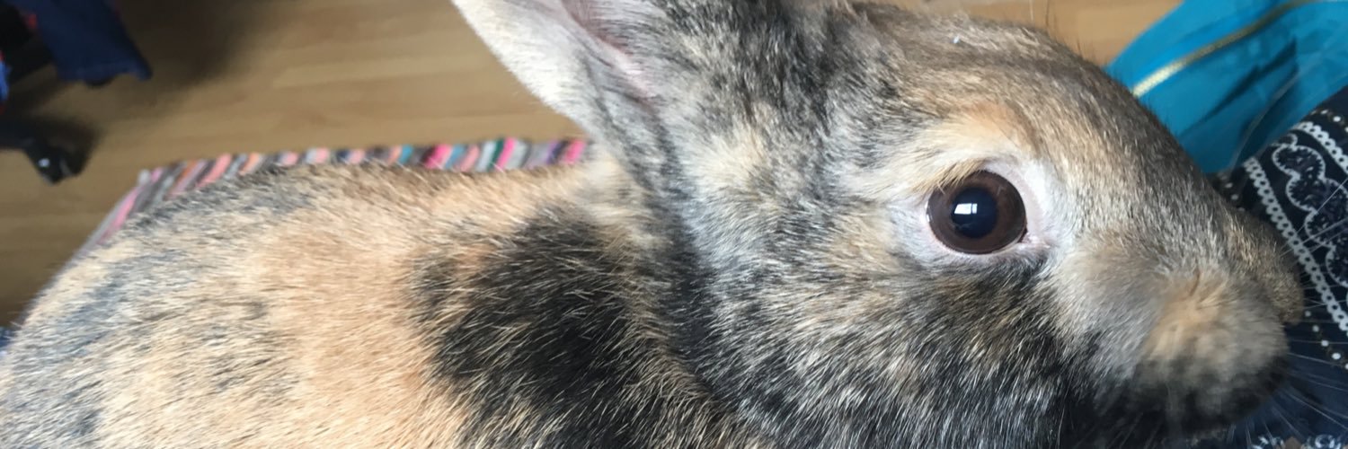oliviajanee_'s profile banner image