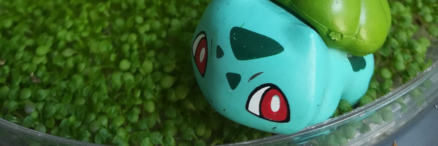 CeciRT17's profile banner image