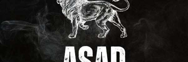 asadmohsin760 Profile Banner